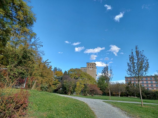 Oeversee Park in Graz