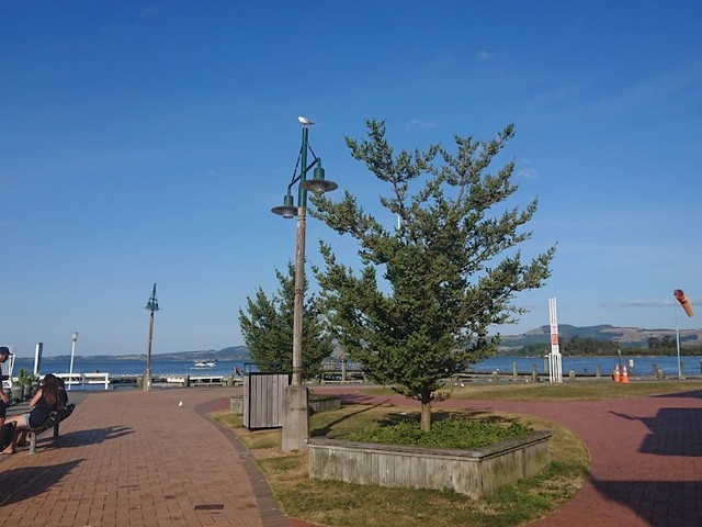 Rotorua Corniche