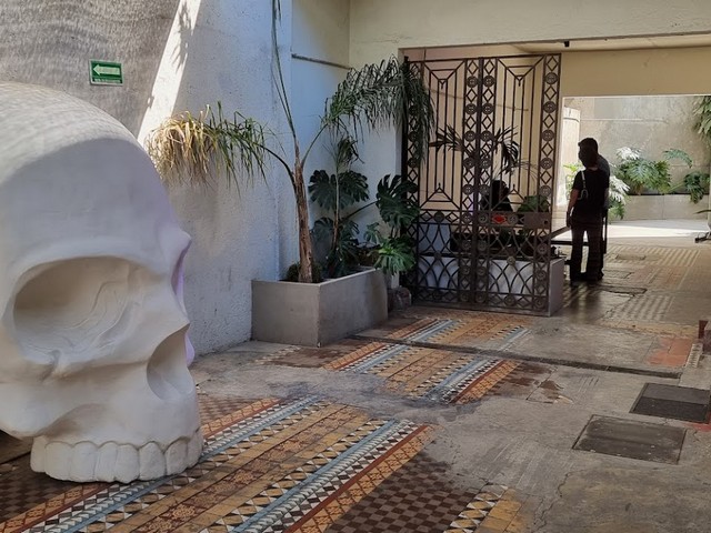 متحف الفن والجماجم مدينة مكسيكو