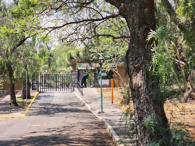 Unam Botanical Garden Mexico City