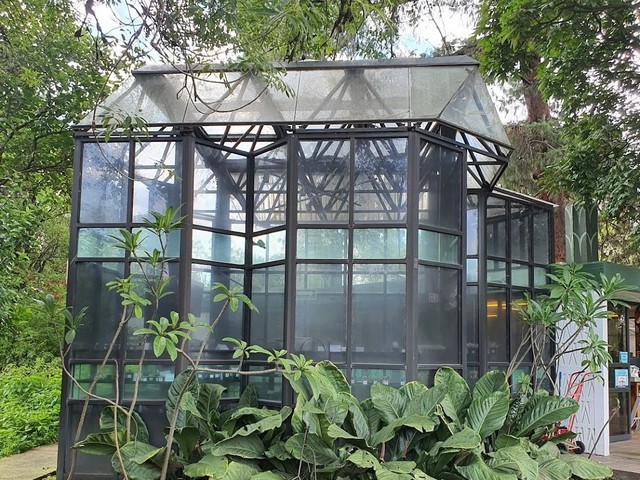 Unam Botanical Garden in Mexico City