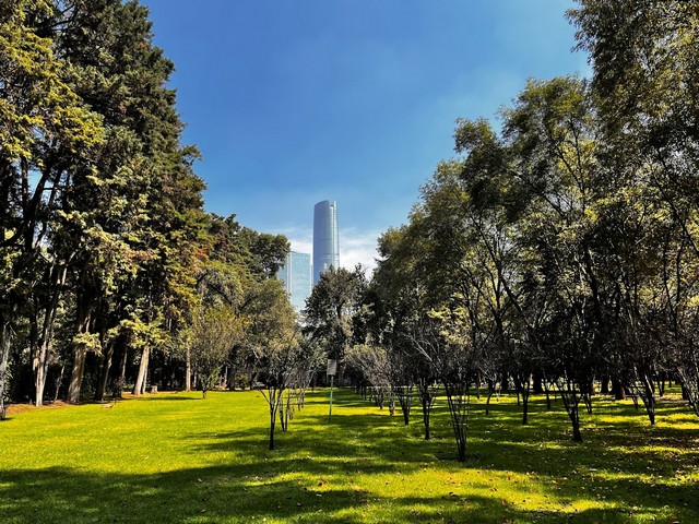 things to do in Mexico City Mexico