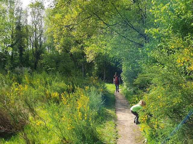 Groningen parks