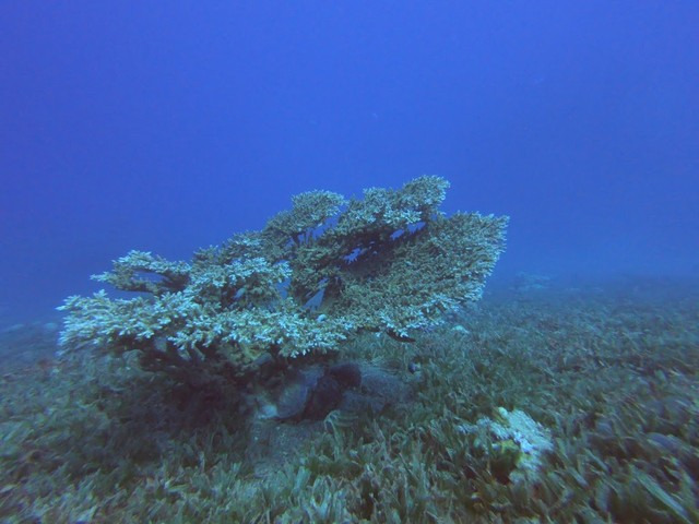 South Beach Aqaba