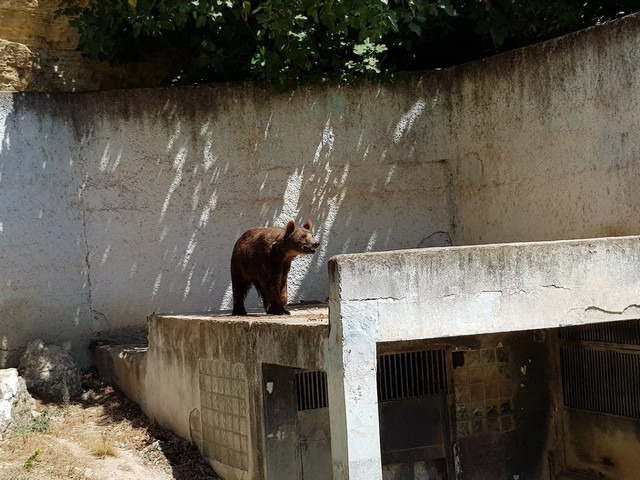 Ben Aknoun Zoo Algiers