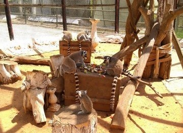 Ben Aknoun Zoo Algiers