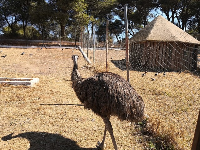 Ben Aknoun Zoo Algiers