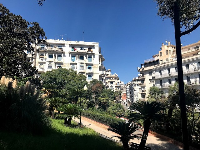 Freedom Park Algiers