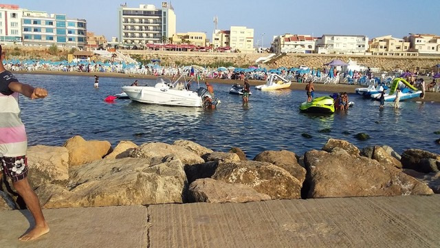Palm Beach Algiers