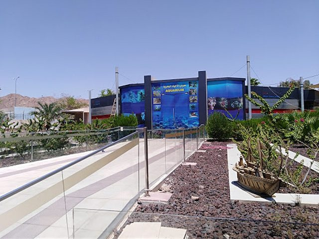 top things to do in Aqaba