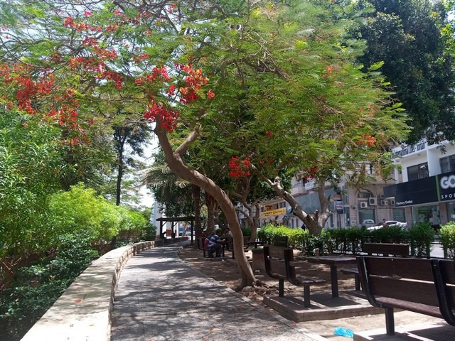 Tunisian Hammamet Gardens Aqaba