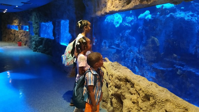 Abu Dhabi History Museum And Aquarium