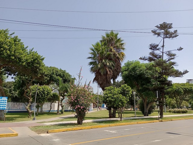 حديقة خوسيه أبيلاردو كوينونيس ليما