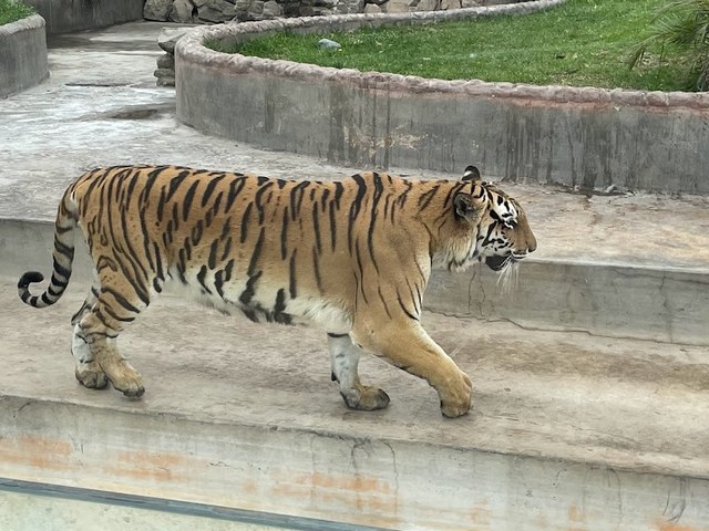 Parque de las Leyendas in Lima