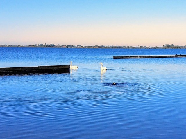 Schildmeer Lake Groningen