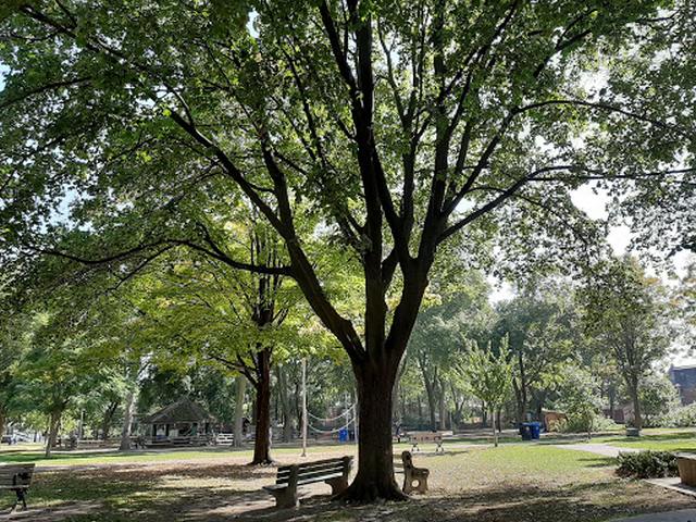 Dufferin Grove Park Toronto