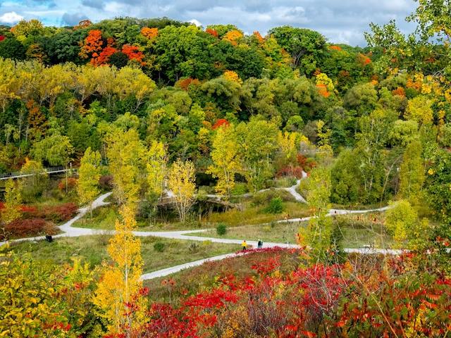attractions in Toronto Canada