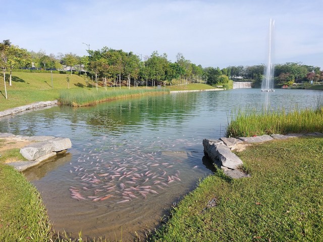 Selangor parks