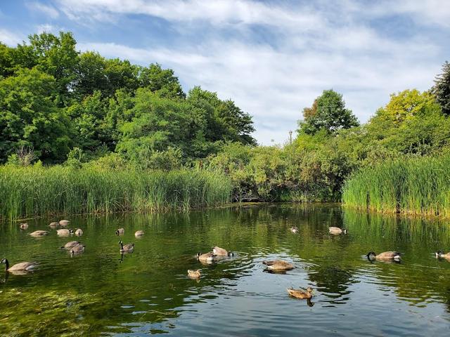 Milliken District Park Toronto