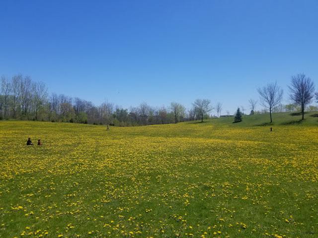 Milliken District Park Toronto