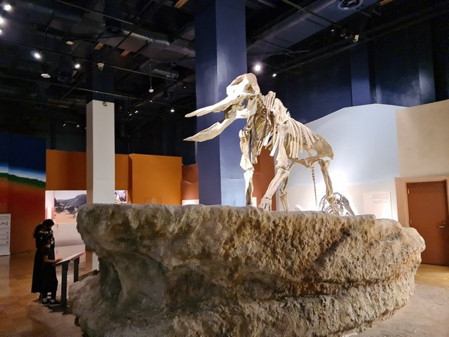 riyadh museums