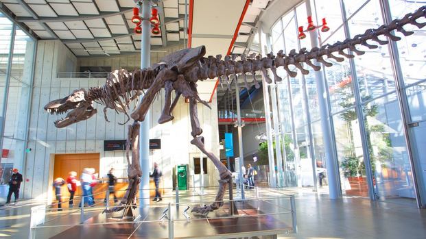 museums in San Francisco California
