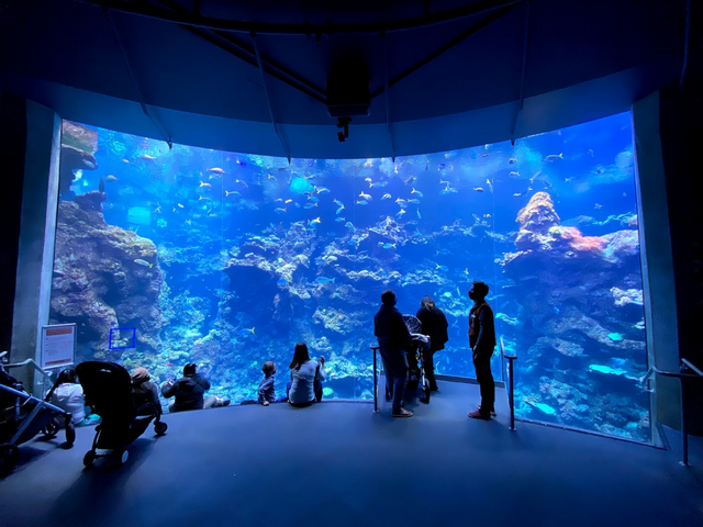 California Academy of Sciences San Francisco
