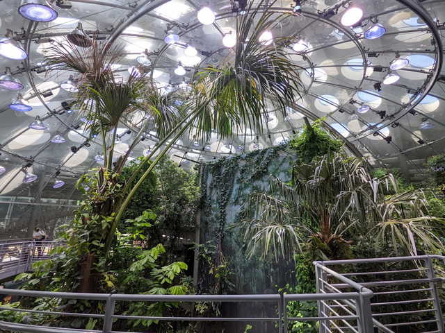 California Academy of Sciences San Francisco
