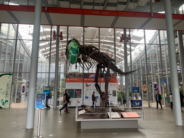 California Academy of Sciences in San Francisco