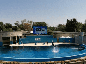 fun activities to do in Madrid