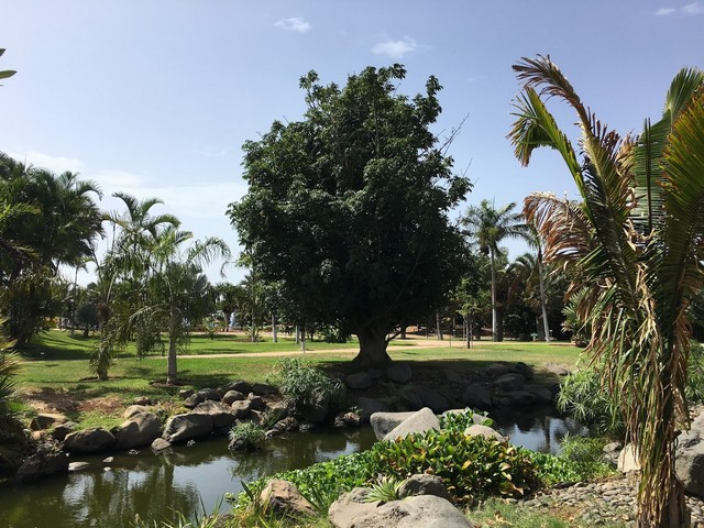 اجمل حدائق في جزر الكناري