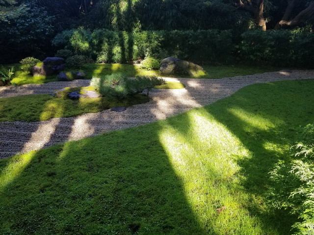 Japanese Tea Garden San Francisco