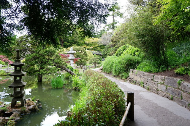 Japanese Tea Garden in San Francisco