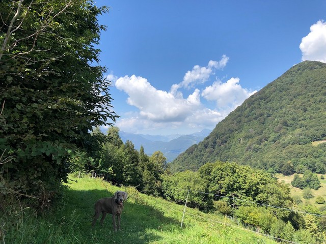 Monte Bre in Lugano