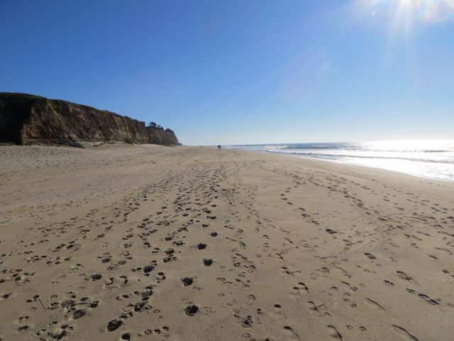 Poplar Beach San Francisco