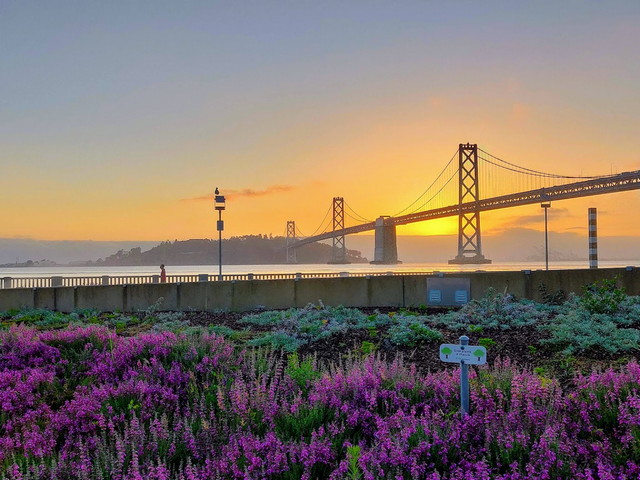 San Francisco beaches