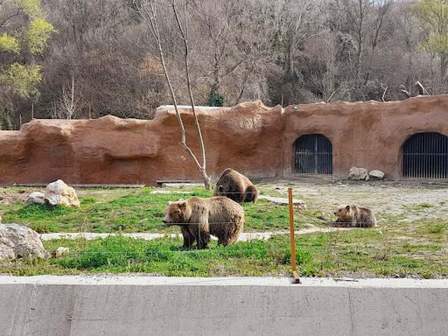 Tirana Zoo
