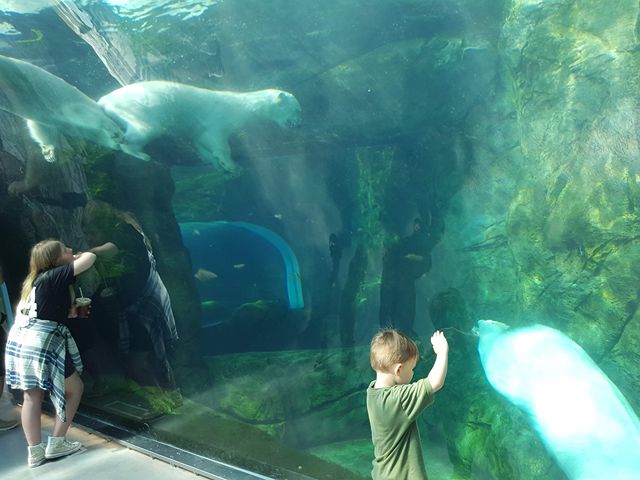 things to do in Winnipeg with family