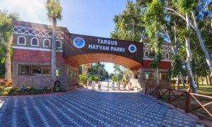 Tarsus Hayvan Parki Mersin