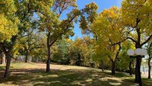 Wascana Place Garden Regina