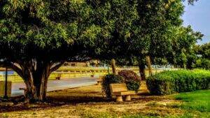 attractions Yanbu