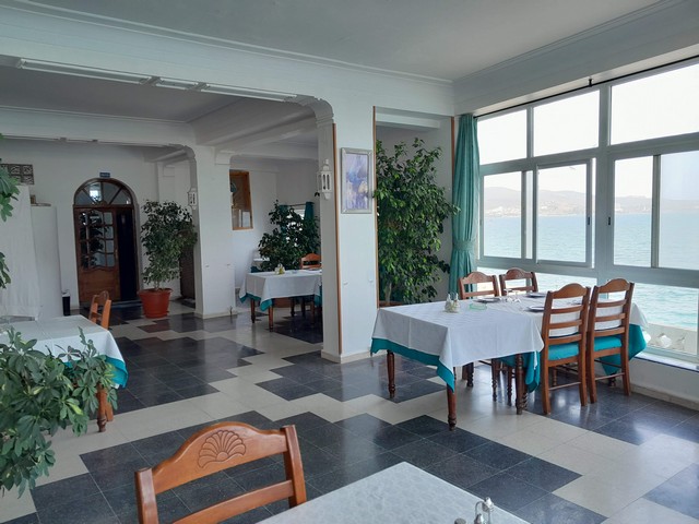 best things to do in Annaba
