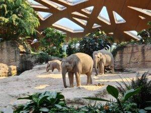 things to do in Zurich with Kids