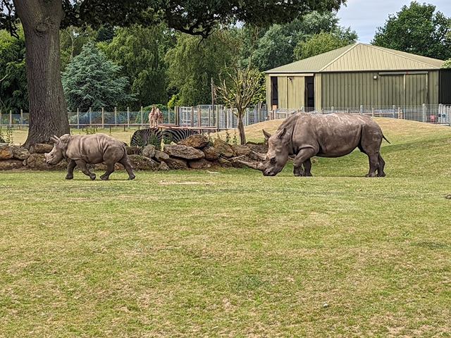parks in Norwich