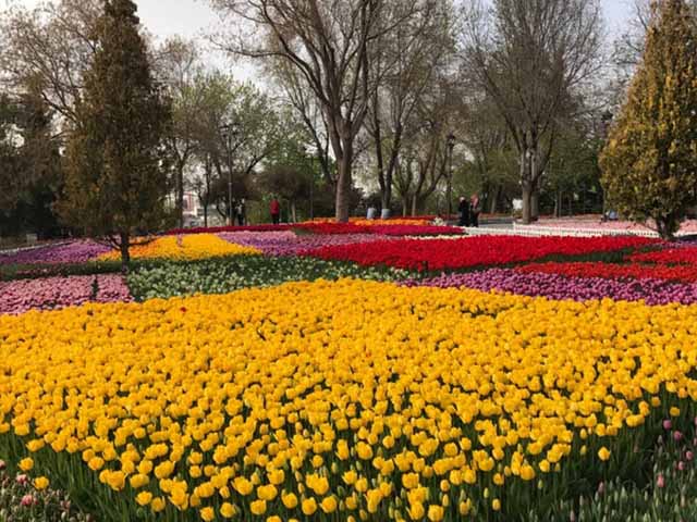 parks in Konya Turkey