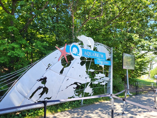 fun things to do in Quebec City