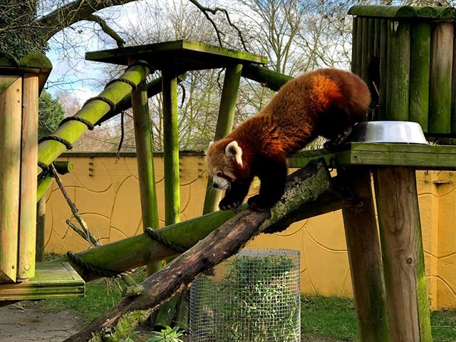 Banham Zoo Norwich