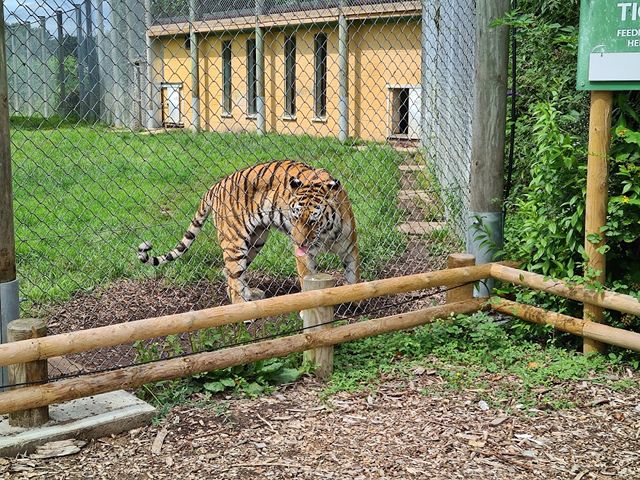 Banham Zoo in Norwich