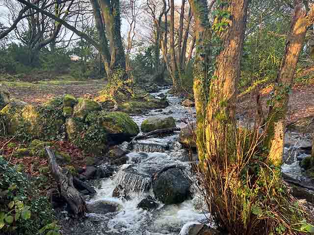 Galway parks