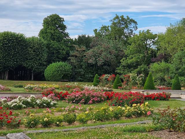 Botanical Garden in Lille